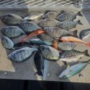 바다풍경펜션 이미지