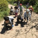 해보어린이집 이미지