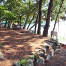 사촌해수욕장 이미지