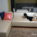 쏠미라벨 네이버블로그