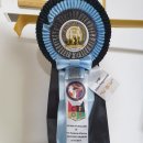 달보드레/루체레 | [CFA 캣쇼] ACAB &amp; CFOK 캣쇼-달보드레/루체레 1