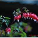 밥풀떼기 이미지