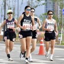 장흥군청 이미지