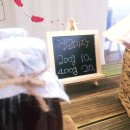 호야 달수 이미지