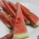 수박씨