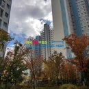 미사금공인중개사사무소 이미지