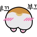 경기도 수원시 팔달구 인계로166번길 45 (인계동) 이미지