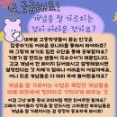 목포영화중학교 이미지