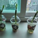 보드게임 및 전래놀이 이미지