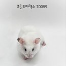 와우펫앤쥬 김해점 이미지