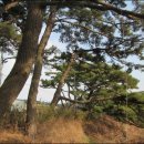 동양콘도미니엄 이미지