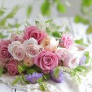 RoseDay 이미지