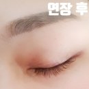 [인천] 청라 속눈썹 리드룸 LED 연장 찐 후기
