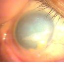 사하구-50 이미지