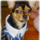 엄마의생활 이미지