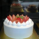 피오니 티스토리