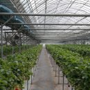 영인농장 이미지