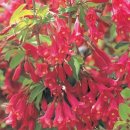 해찬농원 이미지