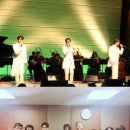 트리탑스 카카오 검색결과