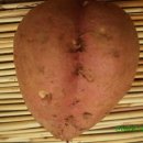고향나루 이미지