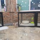 블링펫샾 이미지