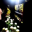 8.14 광명동굴 다녀온 후기 이미지