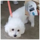 후사2리경로당 이미지