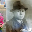 국립대전현충원 뉴스1