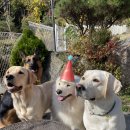 푼타하우스 이미지