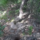 [백두만덕(칠성)]삿갓단맥1-2구간-산줄기답사 역사상 남도지방 보다 더한 최악의 산줄기로 기록된 산줄기 이미지