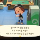 너굴상점 이미지