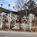 엔젤 식물원 이미지