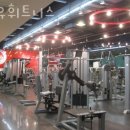 알유휘트니스 이미지