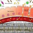 왕십리경희한의원 이미지