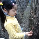 서우재마을 이미지