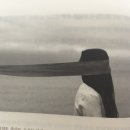 송백상사