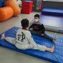 새봄태권도 이미지