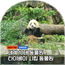 유니스타 방문요양센터 | 대만 여행 타이베이 시립 동물원, MRT 타고 가는 법 관람 순서 자이언트 판다관 총정리