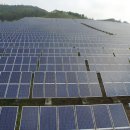보성태양광발전소 이미지
