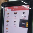 가야랜드 화이트엔젤