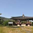 산양일주도로가로수 이미지