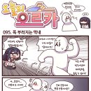 오르카