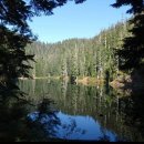 8/21/21 정기산행 안내 A 코스 : Snow Lake.B코스 MT Pilchuk.C코스 : Hoh river.Y 코스 클레식 코스 이미지