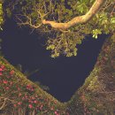 아람이네 이미지