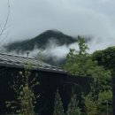 스테이소요 이미지