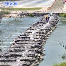 진천 농다리와 미호천 메타세쿼이아길 이미지
