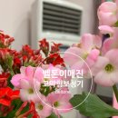 벨톤보청기 이미지