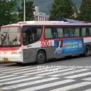 500-2번 BH116(로얄럭셔리) 2002년 식 이미지