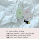 미미소품 | 신혼집 선물 웨딩촬영소품 추천 미미벨플라워 아크릴백 내돈내산 후기