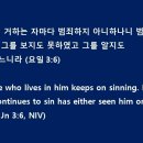 SIN 티스토리